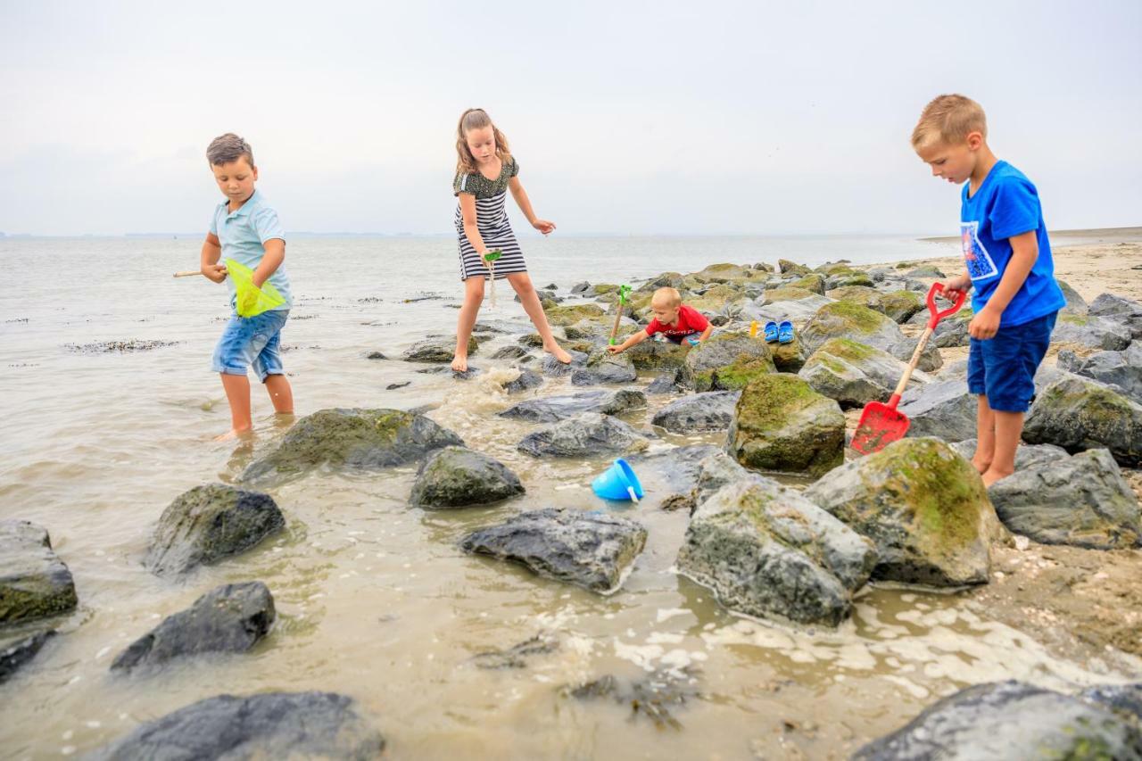 Camping Scheldeoord Baarland Dış mekan fotoğraf